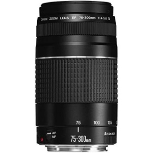 Canon EF 75-300mm f/4-5.6 III Telephoto Zoom Lens for Canon SLR Cameras